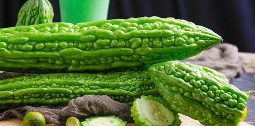 精品多肉吃瓜,探寻多肉植物中的“精品吃瓜”之旅  第3张